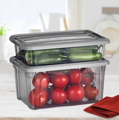 Obrázek produktu pro Vip Ahmet, úložný box, organizér, nádoba, kontejner na potraviny, šedá barva, průhledný, objem 2,8 litru