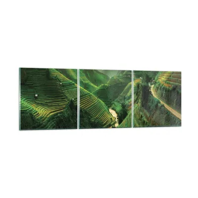 Produktbild von Bilder auf glas - 3 Teile - Klappe Reis Vietnam - 150x50cm - Glasbilder - Wandbilder - Bilder - zum Aufhängen bereit - Wanddekoration aus Glas - Glas Bilder - Wandbild auf Glas - GCA150x50-4296
