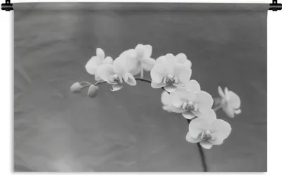 Produktbild von MuchoWow® Wandteppich Wandbehang Orchidee - Blumen - Pflanze - Weiß - Lila 90x60 cm Tapisserie Dekoration Wandtuch - Wandskulpturen - Bildteppich