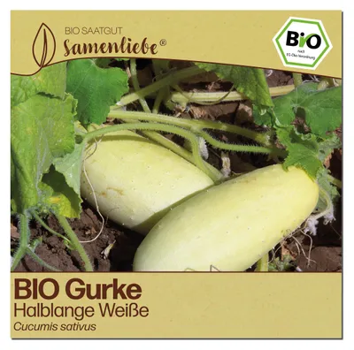 Produktbild von Samenliebe  Gurke Samen | Halblange Weiße - weiße - samenfestes  Saatgut