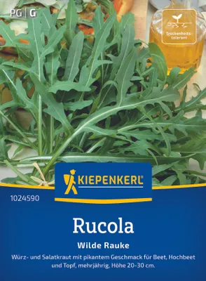 Produktbild von Kiepenkerl Rucolasamen Wilde Rauke Diplotaxis tenuifolia 150 Pflanzen