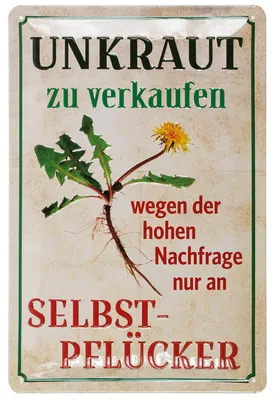 Produktbild von Blechschild: Unkraut zu verkaufen, 20 x 30 cm, Blechschilder