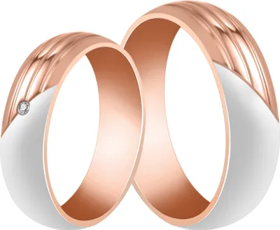 Produktbild von Akzent Herren-Partnerring, Edelstahl, silber- & roségoldfarben