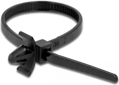 Image de DELOCK Colliers de câbles avec ancre à expansion L 160 x l 4 mm noir