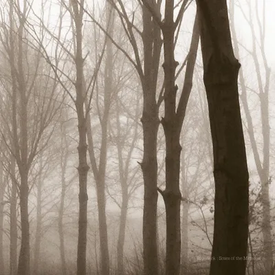 Obrázek produktu pro Blueneck: Scars Of The Midwest