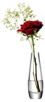 Immagine prodotto di LSA | Vaso FLOWER, trasparente, altezza 17 cm