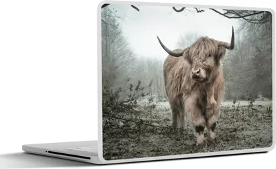 Produktbild von MuchoWow® Laptop Aufkleber Sticker Cover Schottische Hochlandrind - Natur - Herbst - Tiere - Wildtiere - Wald 30x21 cm - Sticker für Laptop - Selbstklebend