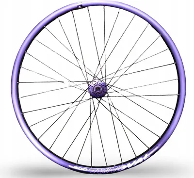 Image de Jante de vélo ovale 200 29" ETRTO 622-21 Boost Axe 15x110 Disque 6 boulons