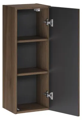 Image de Cabinet de Salle de Bain à 1 porte - L 30 x P 18,5 x H 80 cm - Caldera Foncé