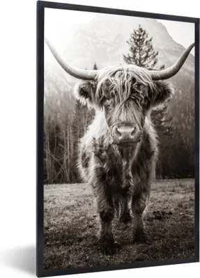 Produktbild von MuchoWow® Gerahmtes Poster Schottischer Highlander - Tiere - Schwarz - Weiß 60x90 cm - Poster mit Schwarzem Bilderrahmen Wandposter Rahmen Foto Bilder - Kunst