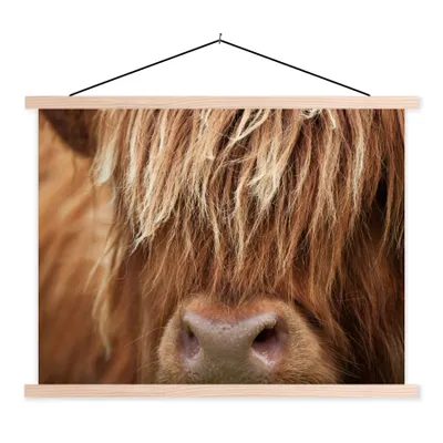 Produktbild von MuchoWow® Textilposter Schottischer Highlander - Nase - Haare 40x30 cm mit holzfarbenen Rahmen - Bilder