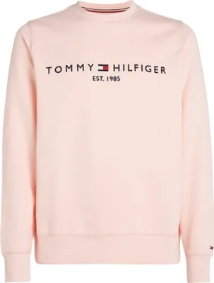 Produktbild von Sweatshirts Tommy Hilfiger MW0MW11596TJS