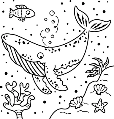 Image de Mon coloriage magique à l'eau - Animaux sauvages