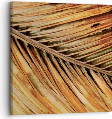 Produktbild von Bild auf Leinwand - Leinwandbild - Einteilig - Orange Blatt Tropisch - 30x30cm - Wand Bild - Wanddeko - Wandbilder - Leinwanddruck - Bilder - Wanddekoration - Leinwand bilder - Wandbild - AC30x30-4876
