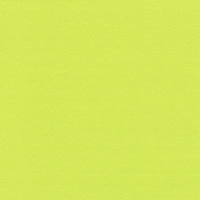 Obrázek produktu pro Papstar Servietten RC limonengrün 40 x 40cm 20 Stück