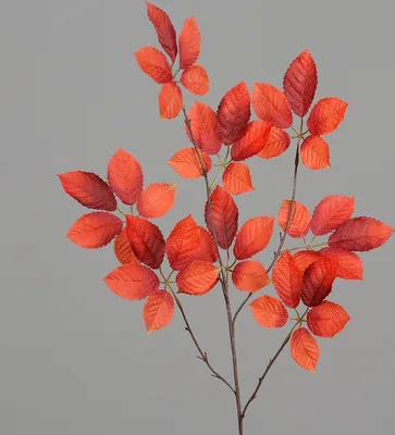 Produktbild von künstliche Blätter Herbstlaub H. 90cm orange DPI Blattzweige