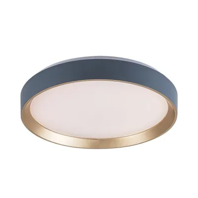 Immagine prodotto di Rabalux 71185 Lampade da soffitto Liatris2 LED 24 in metallo e plastica, grigio