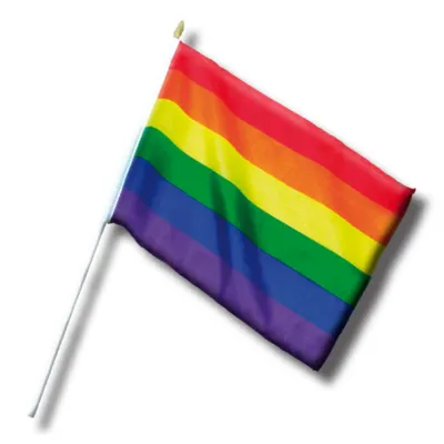 Produktbild von LGBT+ Stolz Wimpel Klein 30 cm