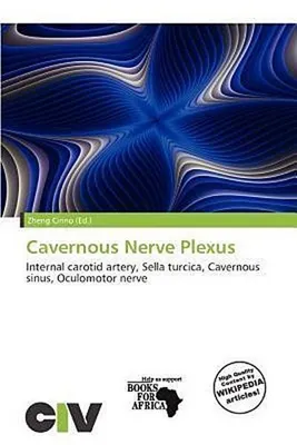 Produktbild von Cavernous Nerve Plexus