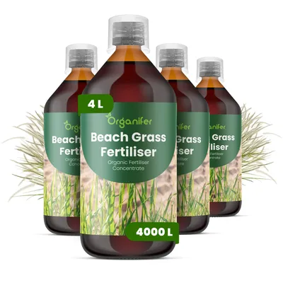 Zdjęcie produktu dla Nawóz Płynny dla Pobrežnú Trawę 4x1 L – 2-1-8 NPK – Do Ozdobne Trawy i Rośliny – Do Silny Wzrost i Silne Korzenie – Podporuje Vitalitu – Organifer