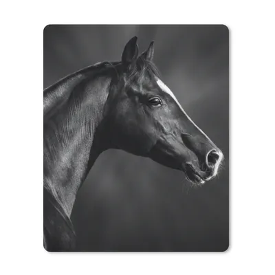 Produktbild von MuchoWow® Mauspad Mousepad Pferd - Tiere - Schwarz - Weiß - Porträt 30x40 cm - Mousepads - Maus Mat - Pad - Mausunterlage - Mausmatten