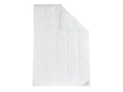 Produktbild von Daunen-Kassettenbettdecke, medium Größe:155 x 220 cm