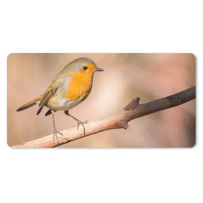 Produktbild von MuchoWow® Mauspad Mousepad Vogel - Zweig - Rotkehlchen 60x30 cm - Mousepads - Maus Mat - Pad - Mausunterlage - Nachhaltig