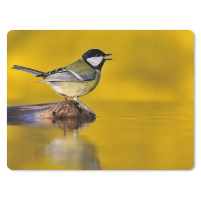 Produktbild von MuchoWow® Mauspad Mousepad Kohlmeise - Vogel - Wasser 23x19 cm - Mousepads - Maus Mat - Pad - Mausunterlage - Schreibtischunterlage - Mauspad