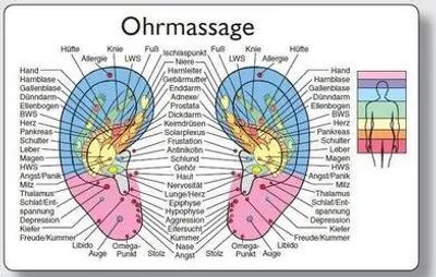 Produktbild von Reflexzonenmassagekarte "Ohr"