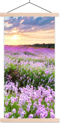 Produktbild von MuchoWow® Textilposter Lavendel - Blumen - Sonnenuntergang - Lila - Wiese 60x120 cm mit holzfarbenen Rahmen - Holz