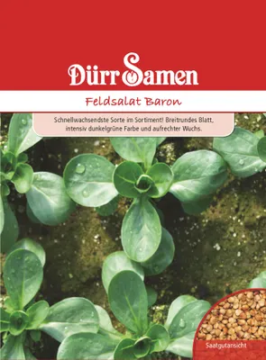 Artikelbild 1 von 'Feldsalat Baron' aus der Kategorie Feldsalatsamen