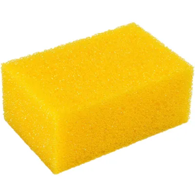 Obrázek produktu pro Houba mycí na mytí auta - proti hmyzu 12x8x5cm