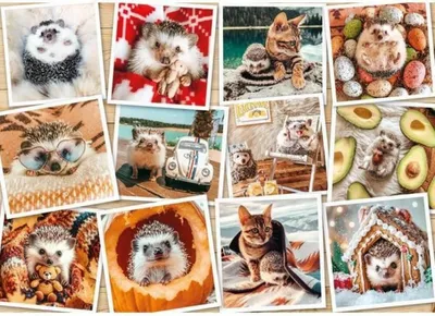 Obrázok produktu pre Puzzle Ravensburger Tendresse 1500 dielikov