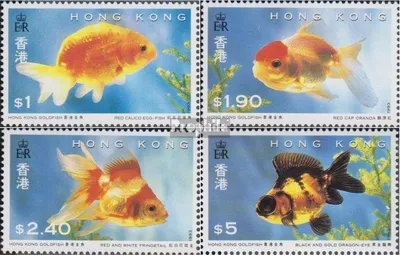 Produktbild von Briefmarken Hongkong 1993 Mi 705-708 (kompl.Ausg.) postfrisch Goldfische