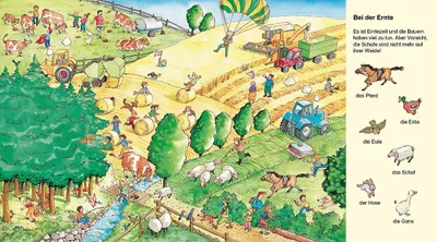 Produktbild von Suche und finde! - Tiere