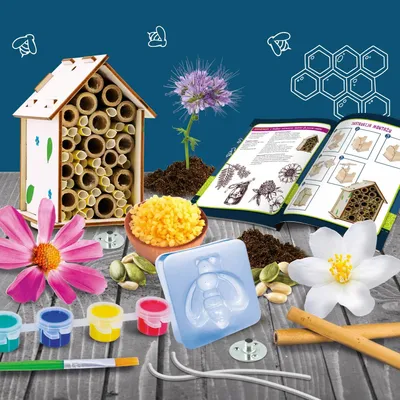 Productafbeelding van Ik ben een geniaal bijenlaboratorium - Lisciani