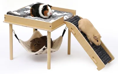 Immagine prodotto di Elzusha - Gabbia per criceti 3-in-1 in legno, con amaca e rampa
