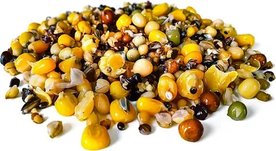 Produktbild von Taubenfutter Angelfertig 20KG | Karpfen futter