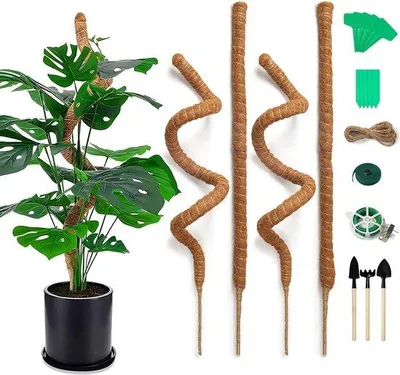 Produktbild von Famanu Pflanzenstütze 70 cm - Flexibel und natürlich aus Kokos