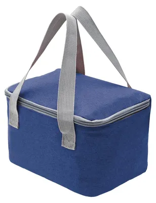 Obrázok produktu pre Omgoods – Mini chladnička s objemom 4 litre, ideálna na obed a piknik