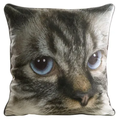 Image de EUROFIRANY | Housse de coussin - Housse d'oreiller - 45 x 45 cm - Chat - Housse de coussin décorative - Housse - Décorative