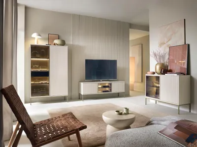 A modern living room with furniture and decor.