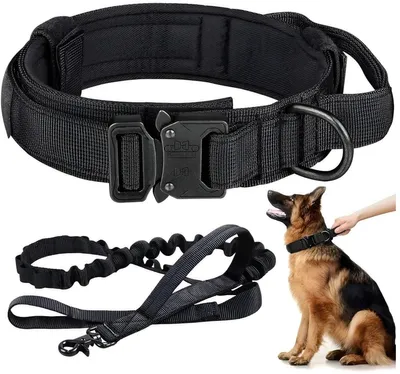 Produktbild von Hundehalsband M (36-48 cm) & Halsband Leine Set - Verstellbares Hundehalsband für Mittelgroße & Große Hunde - Strapazierfähiger Hundehalsband Schwarz