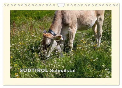 Produktbild von SÜDTIROL-Schnalstal (Wandkalender 2027 DIN A4 quer), CALVENDO Monatskalender