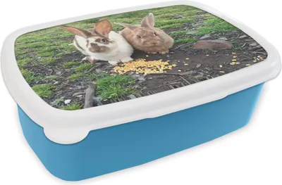 Obrázek produktu pro KitchenYeah® Lunchbox Box na oběd 17x11 cm Dva králíci s jídlem Dětský box na oběd - oběd - plastový - sendvičový box - box na oběd pro děti