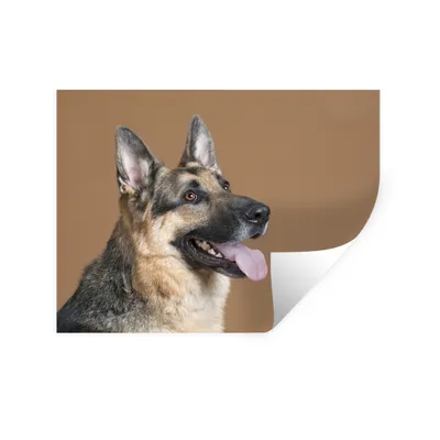 Produktbild von MuchoWow® Wandtattoo Wandsticker Wandaufkleber Porträt eines Deutschen Schäferhundes 120x90 cm Selbstklebend und Repositionierbar - Aufkleber