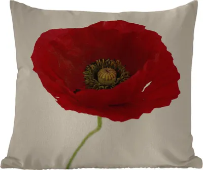 Produktbild von MuchoWow® Outdoor Kissen - Nahaufnahme einer roten Mohnblume - 40x40 cm - Wetterfest - Lounge Kissen - Kopfkissen - Interieur - Polster mit Bild