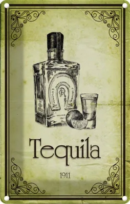 Produktbild von vianmo Blechschild 18x12 cm Alkohol 1911 Tequila Essen Trinken Bar Club