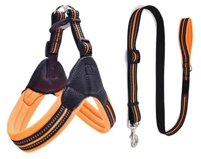 Obrázek produktu pro Reflexní postroj a vodítko pro psy