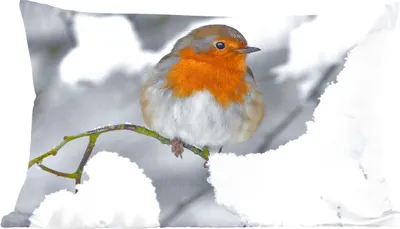 Produktbild von MuchoWow® Zierkissen Sofakissen Wohnzimmer Dekokissen 50x30 cm Rotkehlchen - Schnee - Winter - Wohnzimmerdekoration - Polster mit Photo